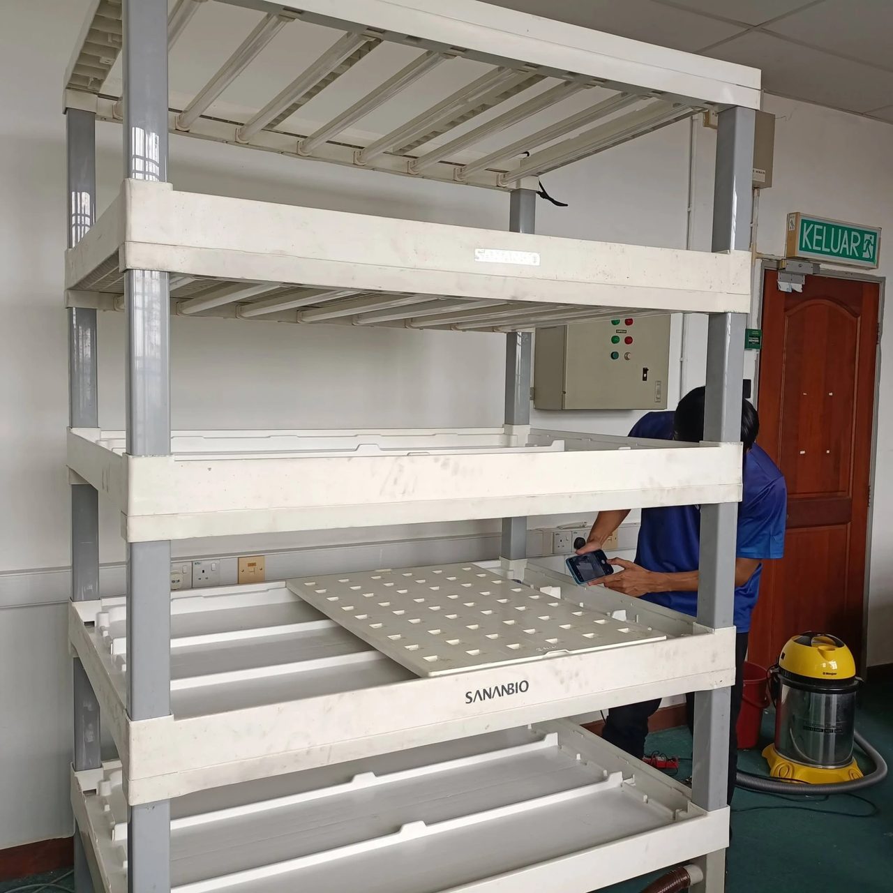 A clean white plant board with square holes lying on a growing tray on the lower level of a rack
